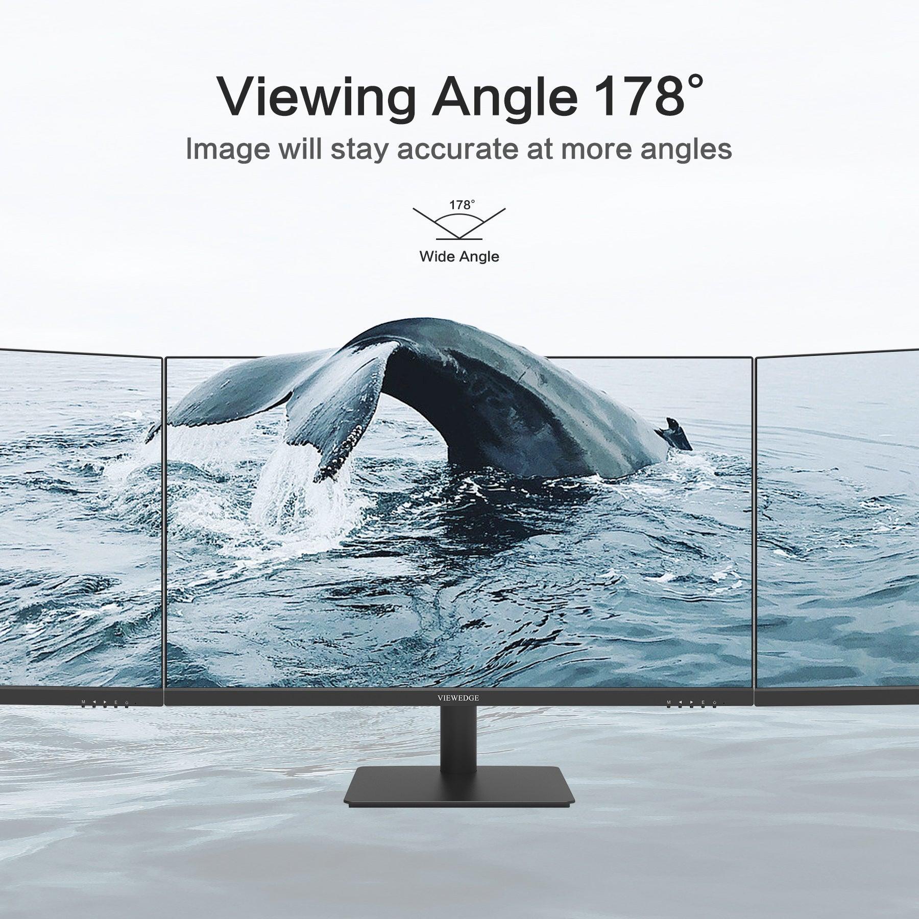 CS24FT - 24 Inch Monitor 1080p FHD 100hz